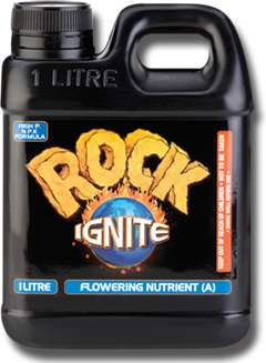 Rock Ignite Flower A