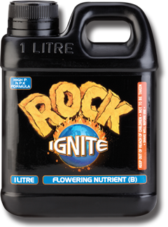 Rock Ignite Flower B