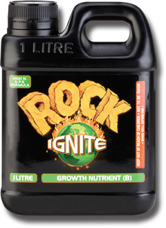 Rock Ignite Growth B